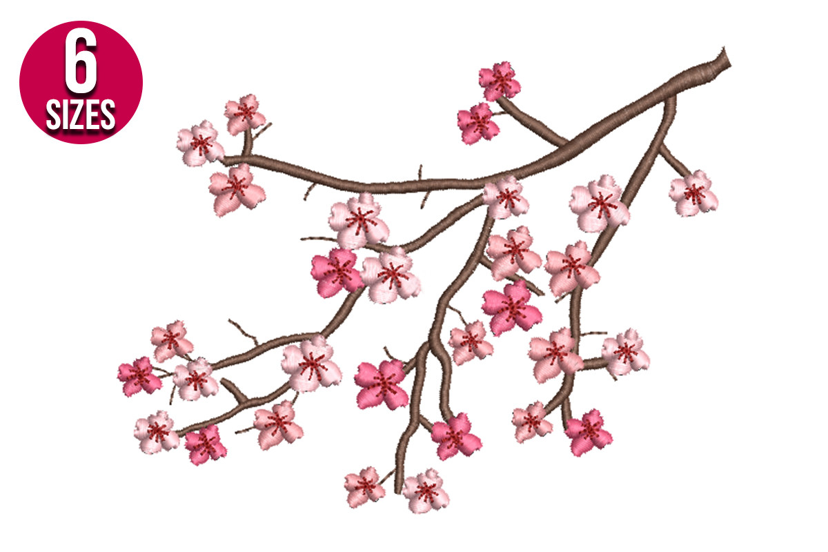 Cherry Blossoms