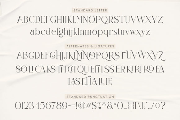 Claster Oleander Font - Preview 6