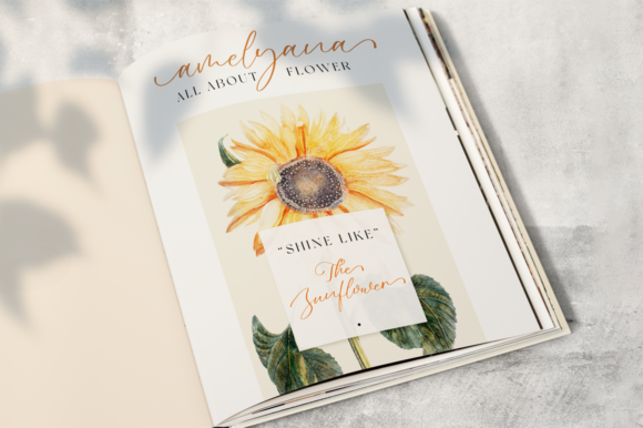 Dandelione Font PNG with transparent background - Preview 6