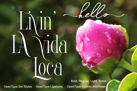La Belle Zabriella Duo Font PNG with transparent background - Preview 1