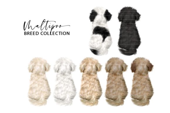 maltipoo dog clipart set svg png for sublimation tumblers mugs shirts