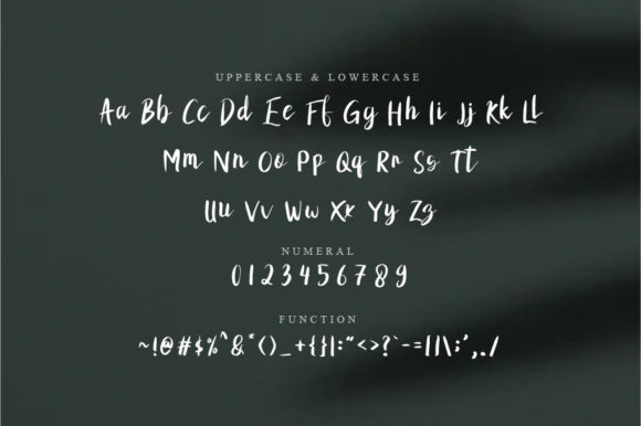 Rylfop Font PNG with transparent background - Preview 2