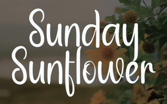 Amazing Kitchen Font - Preview 1