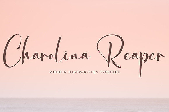 Boghota Font - Preview 5