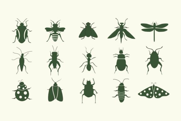 Insect AZ Font - Preview 6