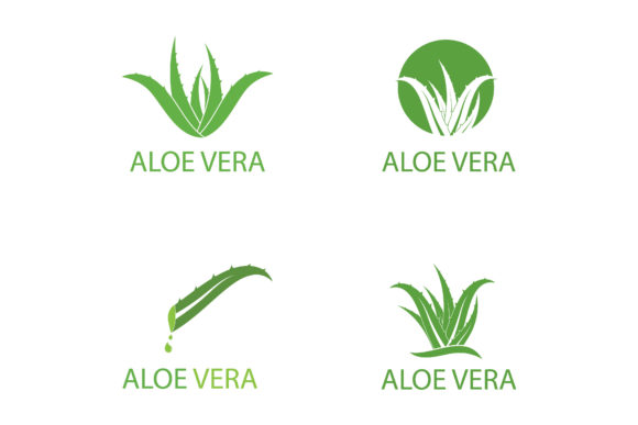 aloe vera skin products Aloe Vera Body Cream main image 0
