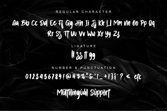 Asutenan Font - Preview 4