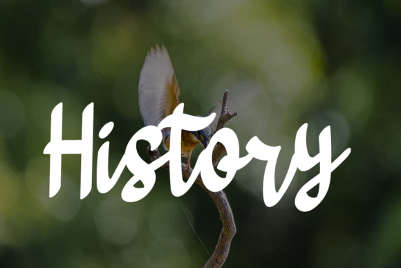 Bestari Font - Preview 1