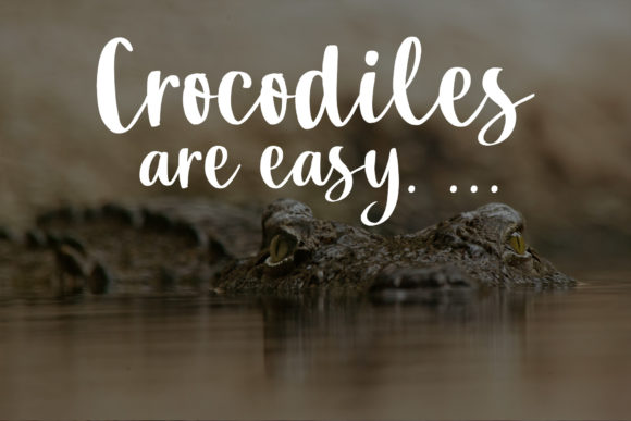 Crocodile Script Font - Preview 5