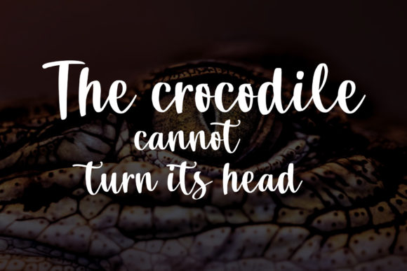 Crocodile Script Font - Preview 6