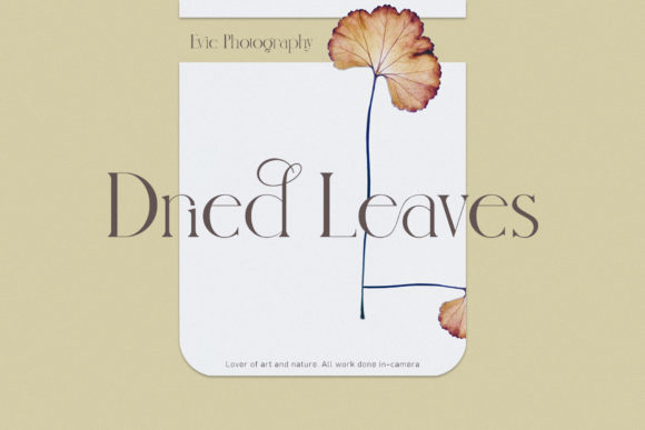Nindea Font PNG with transparent background - Preview 3