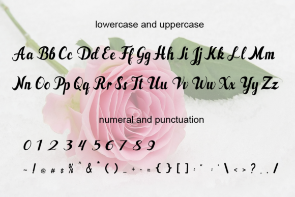 Rafa Font PNG with transparent background - Preview 3