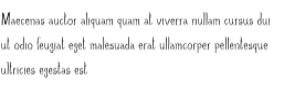 daphneeregular
