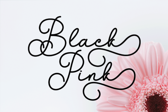 Bellagia Font - Preview 2