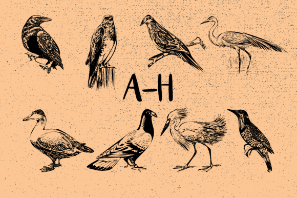 Birds Font - Preview 1