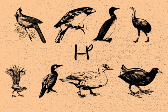 Birds Font - Preview 2