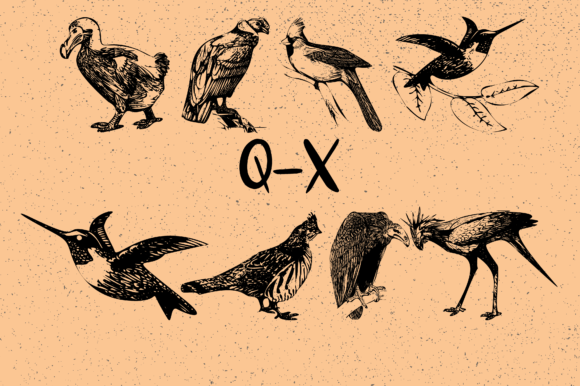 Birds Font - Preview 3