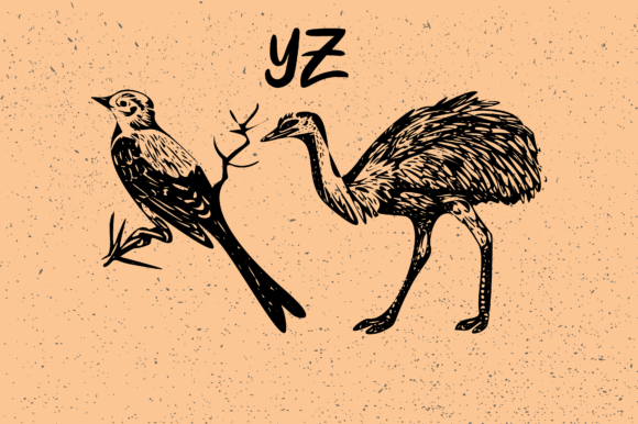 Birds Font - Preview 4