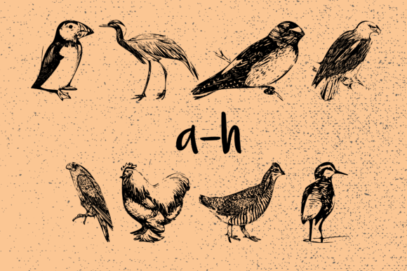 Birds Font - Preview 5