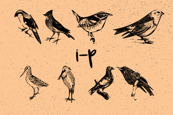 Birds Font - Preview 6
