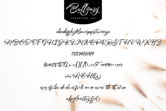 Bullgary Font - Preview 4