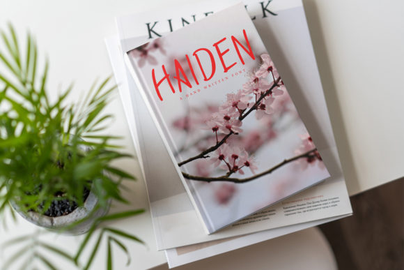 Haiden Font - Preview 3