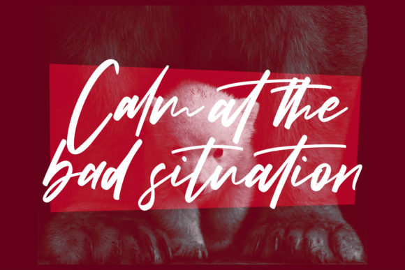 Hartwick Script Font - Preview 5