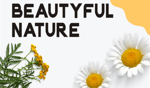 Leberta Font PNG with transparent background - Preview 2