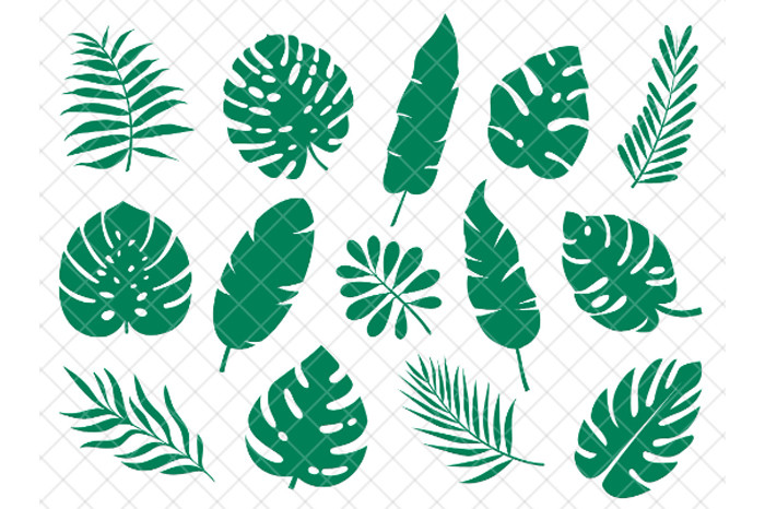Tropical Leaves Svg, Tropical Leaf Svg