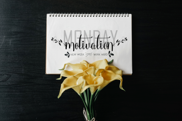 Azelia Font - Preview 3