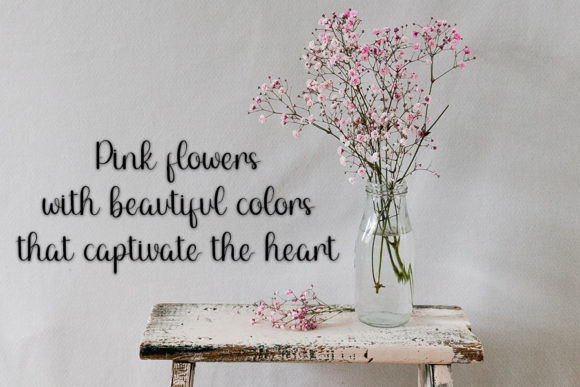 Cathy Catherine Font - Preview 2