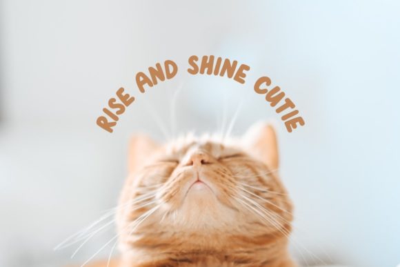 Cat Nap Font - Preview 5