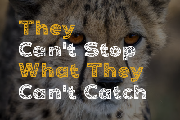 Cheetah Font - Preview 4
