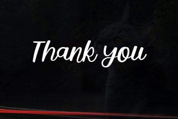 Blackcats Font - Preview 5