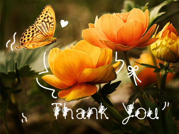 Butterfly Fine Font - Preview 3