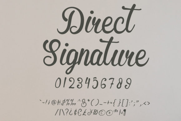 Direct Signature Font - Preview 4