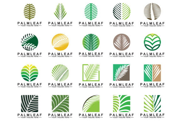 Tropical Palm Leaf Logo Vector Template