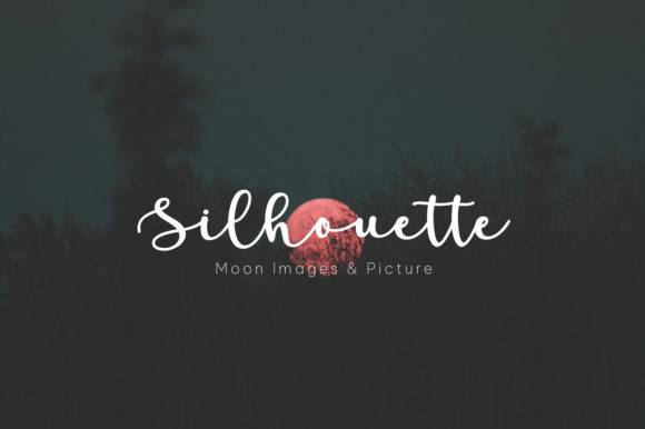 Paradise Calligraphy Font PNG with transparent background - Preview 1