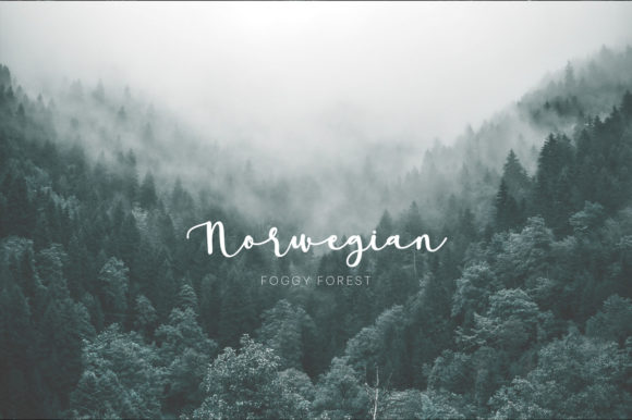 Paradise Calligraphy Font PNG with transparent background - Preview 2