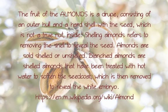 Almonds Font - Preview 2