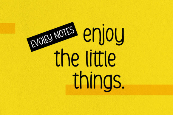 Evoley Notes Font font preview - 1
