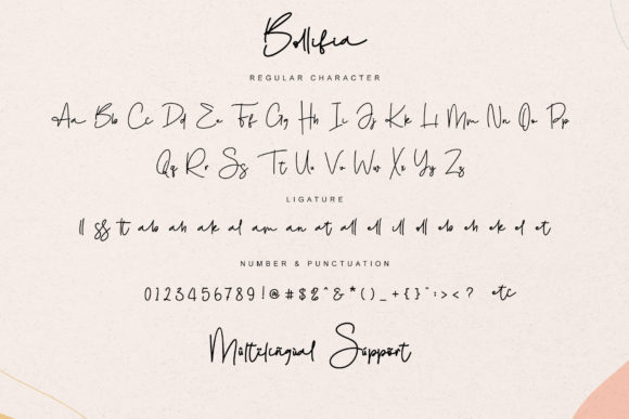 Bollifia Font - Preview 5