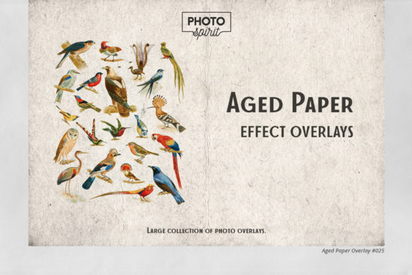 Aged Paper Effect Overlays Illustration Styles de calques Par Graphic Spirit