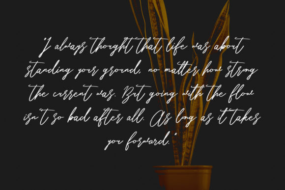 Belostika Script Font - Preview 1