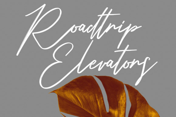 Belostika Script Font - Preview 4