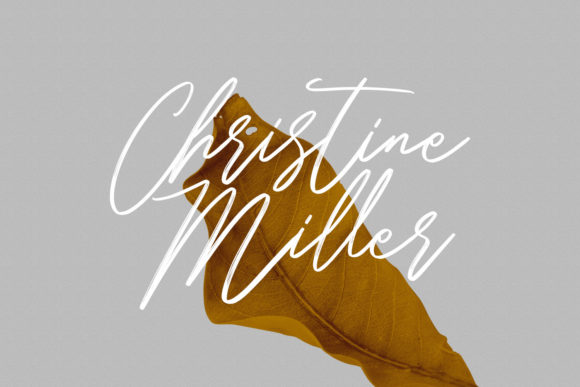 Belostika Script Font - Preview 5