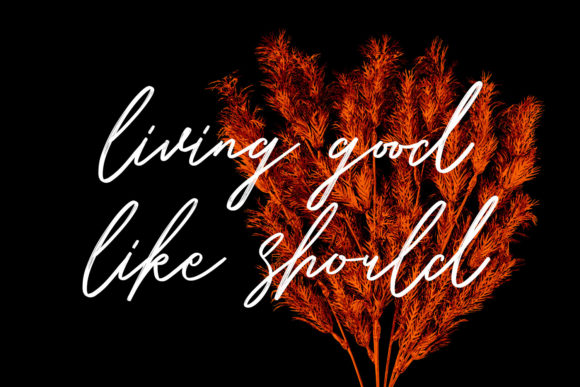 Belostika Script Font - Preview 6