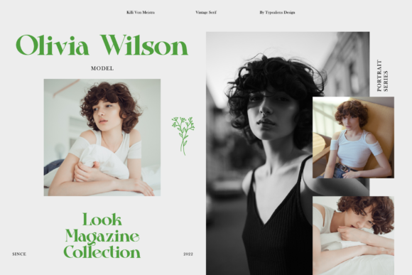 Killi Von Meistra Font PNG with transparent background - Preview 2