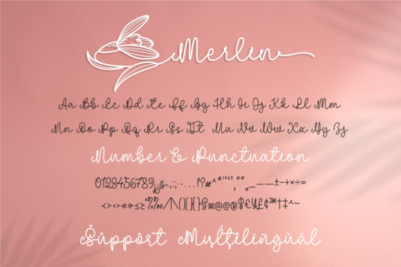 Merlin Birth Flower Font PNG with transparent background - Preview 5