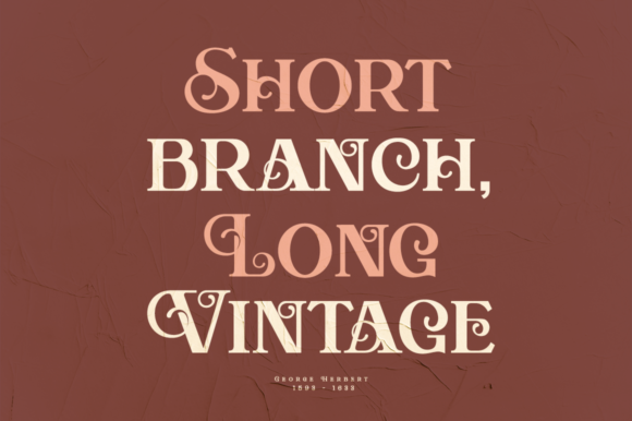 Aestic Clasic Font - Preview 1